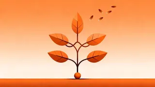 生命成长与知识萌发的隐喻