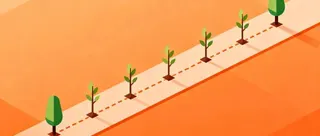 植树问题中的间隔与棵数关系
